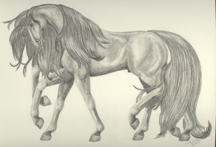 osmonogi konj